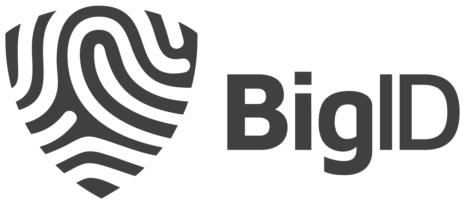 BigID Logo